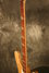 Rickenbacker 4003/4 , Mapleglo: Neck - Front