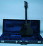 Rickenbacker 320/6 , Jetglo: Full Instrument - Rear