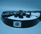 Rickenbacker 320/6 , Jetglo: Close up - Free