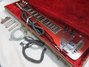 Rickenbacker 100/6 LapSteel, Burgundy: Close up - Free2