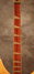 Rickenbacker 375/6 Capri, Natural: Neck - Front