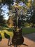 Rickenbacker 2050/4 El Dorado, Jetglo: Full Instrument - Rear