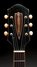 Rickenbacker ES Hollowbody/6 Wood body, Two tone brown: Headstock