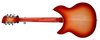 Rickenbacker 1993/12 Plus, Fireglo: Full Instrument - Rear