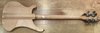 Rickenbacker 4003/5 S, Mapleglo: Full Instrument - Rear