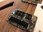 Rickenbacker 330/6 , Natural Walnut: Free image