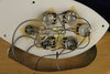 Rickenbacker 370/12 , Mapleglo: Free image2