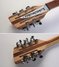 Rickenbacker 360/12 , Mapleglo: Headstock