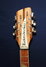 Rickenbacker 360/12 , Mapleglo: Headstock