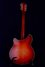 Rickenbacker 360/12 , Fireglo: Full Instrument - Rear