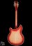 Rickenbacker 360/12 CW, Fireglo: Full Instrument - Rear