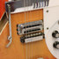 Rickenbacker 366/12 , Fireglo: Free image