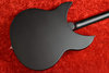 Jul 2018 Rickenbacker 330/6 , Matte Black: Body - Rear