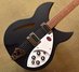 Rickenbacker 330/6 , Matte Black: Body - Front