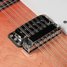 Rickenbacker 330/12 , Fireglo: Free image2