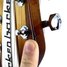 Rickenbacker 330/6 SPC, Walnut Burst: Free image
