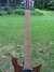 Rickenbacker 650/6 Dakota, Natural Walnut: Neck - Front
