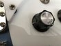 Rickenbacker 620/6 , Blueburst: Close up - Free2