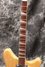 Rickenbacker 360/6 , Mapleglo: Neck - Front