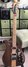 Rickenbacker 650/6 Dakota, Natural Walnut: Close up - Free