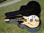 Rickenbacker 381/12 V69, Mapleglo: Full Instrument - Front