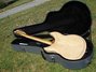 Rickenbacker 381/12 V69, Mapleglo: Full Instrument - Rear