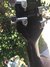Rickenbacker 330/6 , Jetglo: Free image2