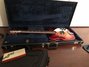 Rickenbacker 360/12 , Fireglo: Free image