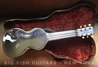 Rickenbacker NS 100/6 LapSteel, Silver: Full Instrument - Rear