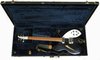 Rickenbacker 330/6 , Jetglo: Free image2