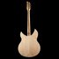 Rickenbacker 360/6 V64, Mapleglo: Full Instrument - Rear