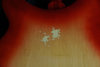 Rickenbacker 340/6 , Fireglo: Free image