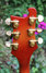 Rickenbacker 480/6 Mod, Fireglo: Headstock - Rear