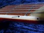 Rickenbacker 660/12 TP, Fireglo: Free image2