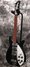 Rickenbacker 325/6 V63, Jetglo: Full Instrument - Front