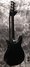 Rickenbacker 325/6 V63, Jetglo: Full Instrument - Rear