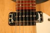 Rickenbacker 330/12 , Mapleglo: Close up - Free2