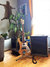 Rickenbacker 4001/4 , Mapleglo: Full Instrument - Front
