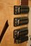 Rickenbacker 370/12 , Mapleglo: Free image2