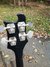 Rickenbacker 4001/4 , Jetglo: Headstock - Rear