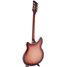Rickenbacker 360/6 , Fireglo: Full Instrument - Rear