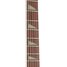 Rickenbacker 360/6 , Fireglo: Neck - Front
