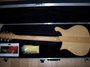Rickenbacker 650/6 Colorado, Mapleglo: Full Instrument - Rear