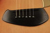 Rickenbacker 730/6 PW Build (acoustic), Tobaccoglo: Free image