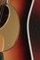 Rickenbacker 730/6 PW Build (acoustic), Tobaccoglo: Free image2