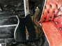 Rickenbacker 650/6 Colorado, Jetglo: Body - Rear
