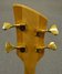 Rickenbacker 2060/4 El Dorado, Jetglo: Headstock - Rear