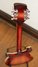 Rickenbacker 620/12 , Fireglo: Full Instrument - Rear