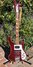 Rickenbacker 4001/4 Mod, Burgundy: Full Instrument - Front