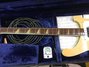 Rickenbacker 4001/4 , Mapleglo: Neck - Front